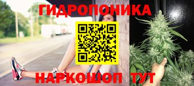 амф Славгород
