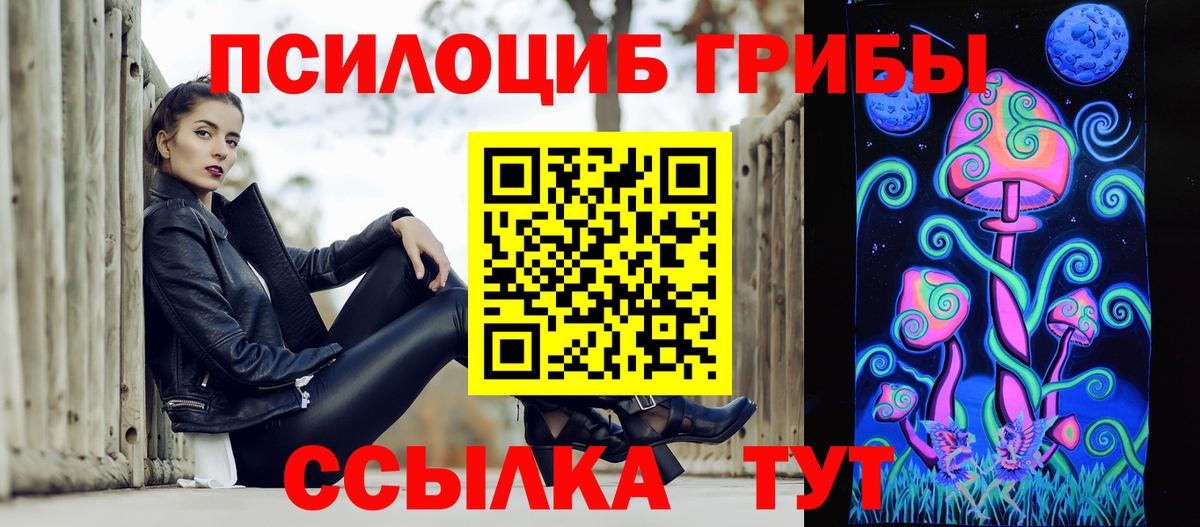 Псилоцибиновые грибы Psilocybe Астрахань