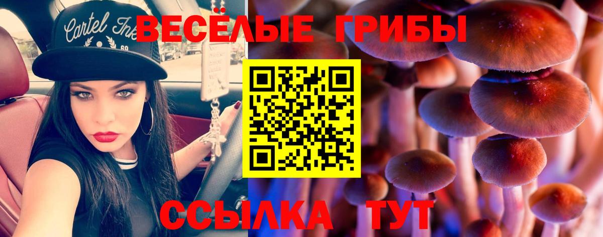 Астрахань  где купить наркоту  Вход с VPN  Галлюциногенные грибы Psilocybine cubensis 